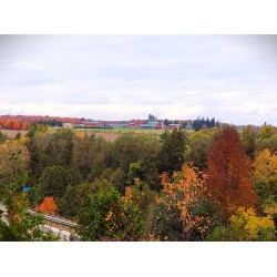 Fall Colour Back Roads Tour (1-8 guests)