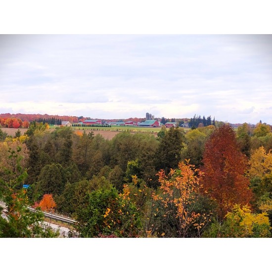 Fall Colour Back Roads Tour (1-8 guests)