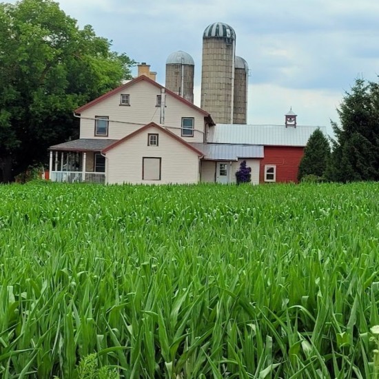 Private Countryside Back Roads Tour - Tues, Thurs, Sat (2-23 People)