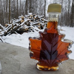 Elmira Sugar Bush Tours - Add as Many Tickets as You Need!