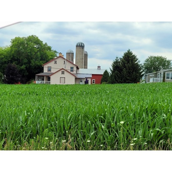 Private Countryside Back Roads Tour - Tues, Thurs, Sat (2-23 People)